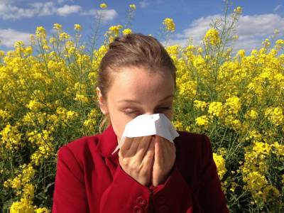 Владимир Болибок - Иммунолог Владимир Болибок рассказал об опасности аллергии на пыльцу - actualnews.org