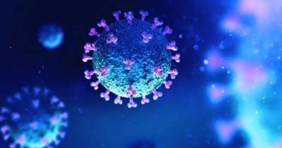 Удивительные цифры. Ученые узнали сколько весит вирус SARS-CoV-2 во всем мире - focus.ua