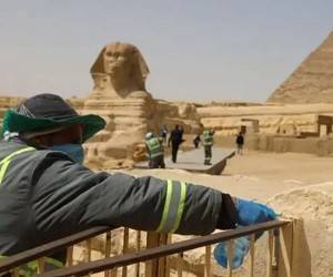 «Черная плесень» дошла до Египта. Опасна ли новая болезнь для туристов и попадет ли она в Украину - goodnews.ua - Египет - Ирак