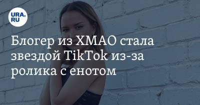 Блогер из ХМАО стала звездой TikTok из-за ролика с енотом. Видео - ura.news - округ Югра