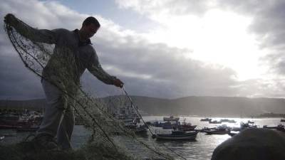 Около 387 тысяч тонн водных биоресурсов добыли рыбаки Приморья в 2021 году - russian.rt.com - Китай - Снг - Приморье край