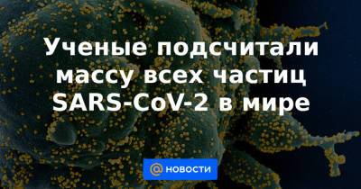 Ученые подсчитали массу всех частиц SARS-CoV-2 в мире - news.mail.ru