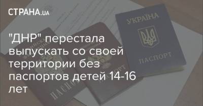 "ДНР" перестала выпускать со своей территории без паспортов детей 14-16 лет - strana.ua - Украина - Днр
