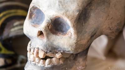 Ученые обнаружили древнейший штамм смертоносного вируса в ископаемом черепе - newdaynews.ru