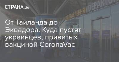 От Таиланда до Эквадора. Куда пустят украинцев, привитых вакциной CoronaVac - strana.ua - Турция - Украина - Египет - Евросоюз - Таиланд - Эквадор