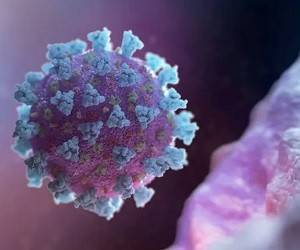 На лезвии ножа. Почему коронавирус в мире вновь идет в рост и спасет ли вакцинация - goodnews.ua