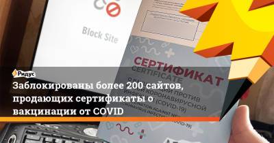 Заблокированы более 200 сайтов, продающих сертификаты о вакцинации от COVID - ridus.ru - Россия