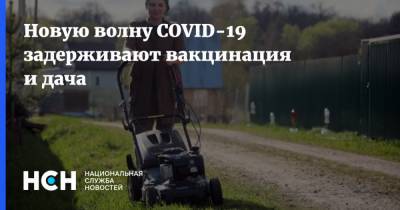Новую волну COVID-19 задерживают вакцинация и дача - nsn.fm - Санкт-Петербург - Москва
