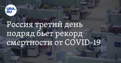 Россия третий день подряд бьет рекорд смертности от COVID-19 - ura.news - Россия