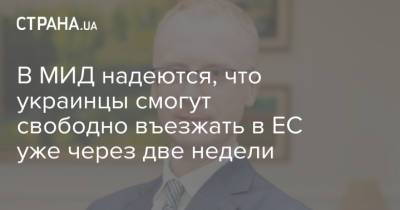 Олег Николенко - В МИД надеются, что украинцы смогут свободно въезжать в ЕС уже через две недели - strana.ua - Украина - Евросоюз