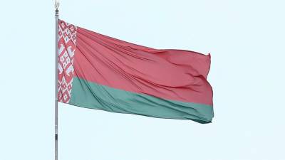 Александр Лукашенко - Граждане 73 стран смогут въехать без визы в Белоруссию для вакцинации - russian.rt.com - Белоруссия