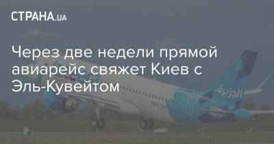 Через две недели прямой авиарейс свяжет Киев с Эль-Кувейтом - strana.ua - Украина - Кувейт - Эль-Кувейт