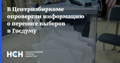 В Центризбиркоме опровергли информацию о переносе выборов в Госдуму - nsn.fm - Россия