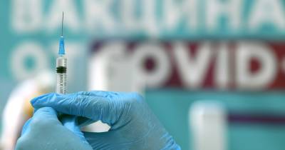 Предпринимателям рассказали о помощи в передаче сведений о вакцинировавшихся - moslenta.ru - Москва