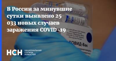 В России за минувшие сутки выявлено 25 033 новых случаев заражения COVID-19 - nsn.fm - Россия