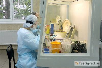 В Тверской области выявили ещё 256 человек, заразившихся COVID-19 - tverigrad.ru - Тверская обл.