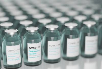 Более шести тысяч ленинградцев за минувшие сутки сделали прививку от коронавируса - online47.ru - Ленобласть обл.