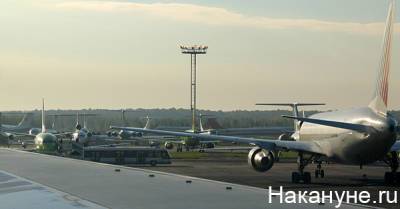В московских аэропортах возникли огромные очереди из-за проверки COVID-документов - nakanune.ru - Москва