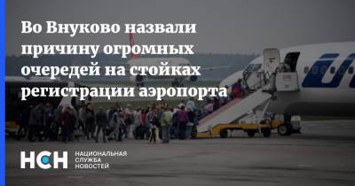 Во Внуково назвали причину огромных очередей на стойках регистрации аэропорта - nsn.fm
