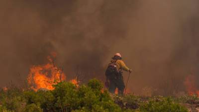 Обзор зарубежных СМИ: лесные пожары в США и футбольный праздник в Италии - mir24.tv - Сша - Италия - штат Флорида - Гаити