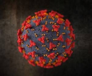 Ученые: коронавирус научился обходить антитела - goodnews.ua - штат Калифорния - Вашингтон