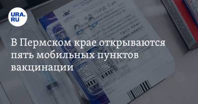 В Пермском крае открываются пять мобильных пунктов вакцинации - ura.news - Пермский край