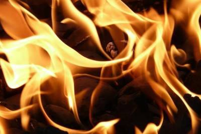 Жертвами пожара в ковид-больнице в Ираке стали 13 человек - mk.ru - Ирак - Эн-Насирия