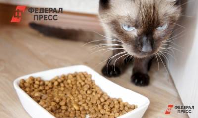 Возможен ли в России дефицит кормов для домашних животных - fedpress.ru - Россия - Москва