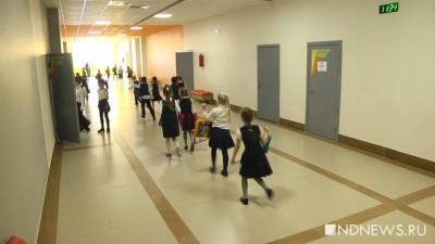 В России вступило в силу новое правило о записи в школу - newdaynews.ru - Россия