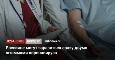 Россияне могут заразиться сразу двумя штаммами коронавируса - kubnews.ru - Россия