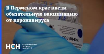 Виталий Костарев - В Пермском крае ввели обязательную вакцинацию от коронавируса - nsn.fm - Пермский край