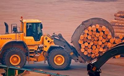 Почему цены на древесину в России бьют рекорды - topcor.ru - Россия - Сша - Китай