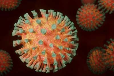 ВОЗ: число случаев коронавируса в мире перевалило за 187 миллионов - mk.ru