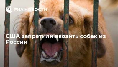 США вводят временный запрет на ввоз собак из 113 стран мира, включая Россию - ria.ru - Россия - Сша - Вашингтон - Грузия - с. 14 Июля