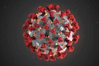 Россия переместилась на четвертое место по числу заражений коронавирусом - ivbg.ru - Россия - Франция - Украина - Сша - Индия - Бразилия