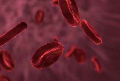 Кардиолог опровергла связь между группой крови и тяжестью течения коронавируса - online47.ru - Санкт-Петербург