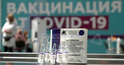 Михаил Мурашко - Мурашко назвал процент заболевших после прививки от COVID-19 - ren.tv - Россия