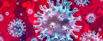 С начала июля в Новосибирской области заразились коронавирусом более 2,3 тысяч человек - runews24.ru - Новосибирская обл.