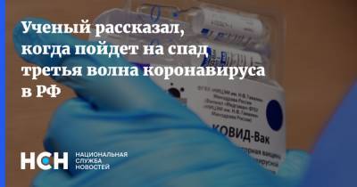 Павел Волчков - Ученый рассказал, когда пойдет на спад третья волна коронавируса в РФ - nsn.fm - Россия