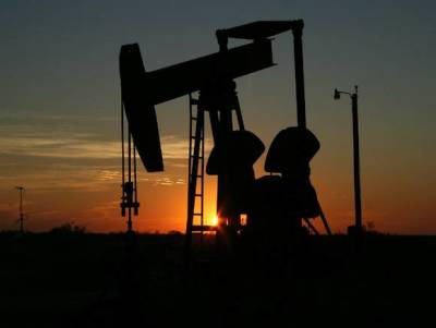Наталья Мильчакова - Цены на нефть снижаются, но Brent остается выше $74 за баррель - rosbalt.ru - Эмираты