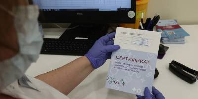 В Москве завели дело о попытке внести фальшивые сертификаты о вакцинации на портал госуслуг - runews24.ru - Москва