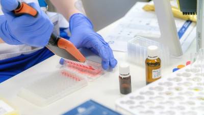 Количество тестов на коронавирус в Петербурге выросло за сутки на 10% - dp.ru - Санкт-Петербург