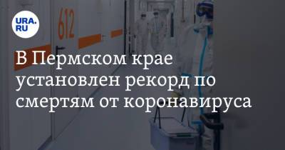 В Пермском крае установлен рекорд по смертям от коронавируса - ura.news - Пермский край