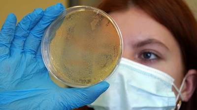 Ученые назвали условия для появления опасных мутаций коронавируса - iz.ru - Сша - Германия - Израиль