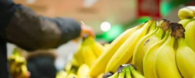 В России цены на бананы в магазинах достигли пятилетнего максимума - runews24.ru - Россия