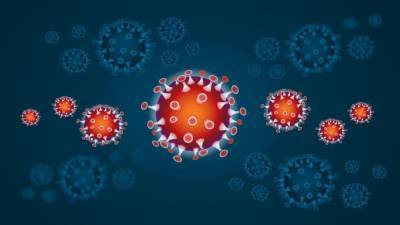Глава ВОЗ вновь высказал предположения по поводу происхождения коронавируса - inforeactor.ru - Китай