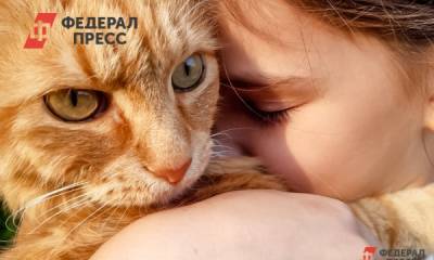 В Кировской области собак и кошек начали вакцинировать от COVID-19 - fedpress.ru - Кировская обл.