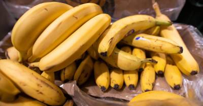 Цены на бананы в России вернулись к рекордному уровню 2016 года - klops.ru - Россия