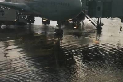 «Самолеты стоят в воде»: в Шереметьево из-за ливня затопило взлетно-посадочную полосу - newzfeed.ru
