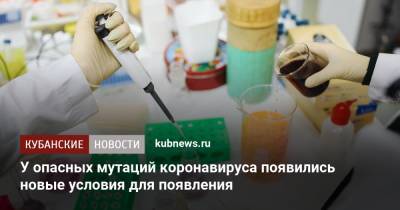 У опасных мутаций коронавируса появились новые условия для появления - kubnews.ru
